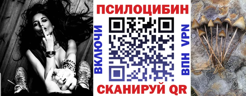Галлюциногенные грибы Psilocybine cubensis  Балаково 